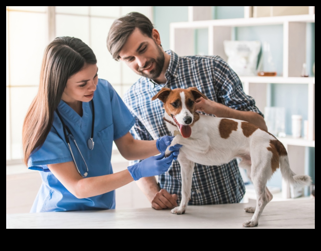 Dinamiskais duets: izpratne par saikni ar suni un tās kopšana