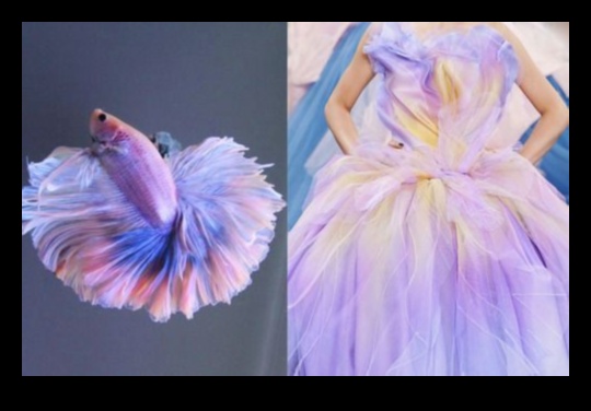 Neticama modes iedvesma: ienesiet zivju rakstus stilā