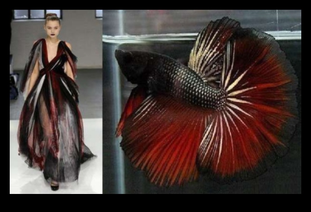 Neticama modes iedvesma: ienesiet zivju rakstus stilā