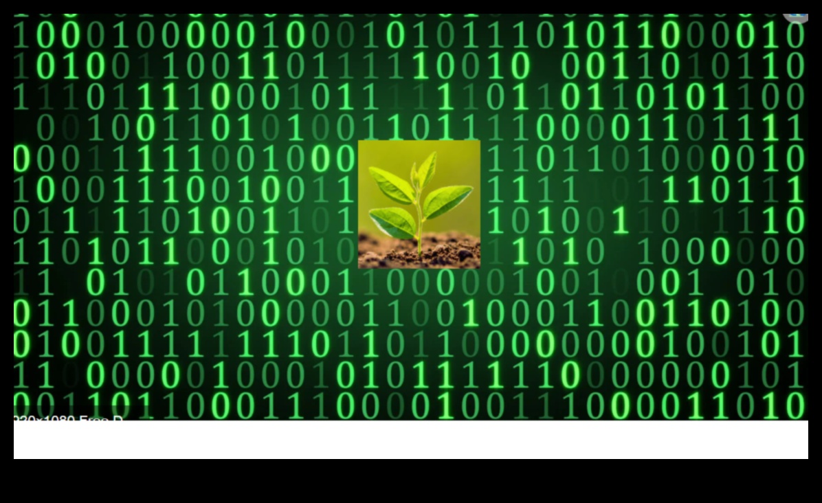 Zaļā koda māksla: radošas ilgtspējīgas izpētes amata apgūšana