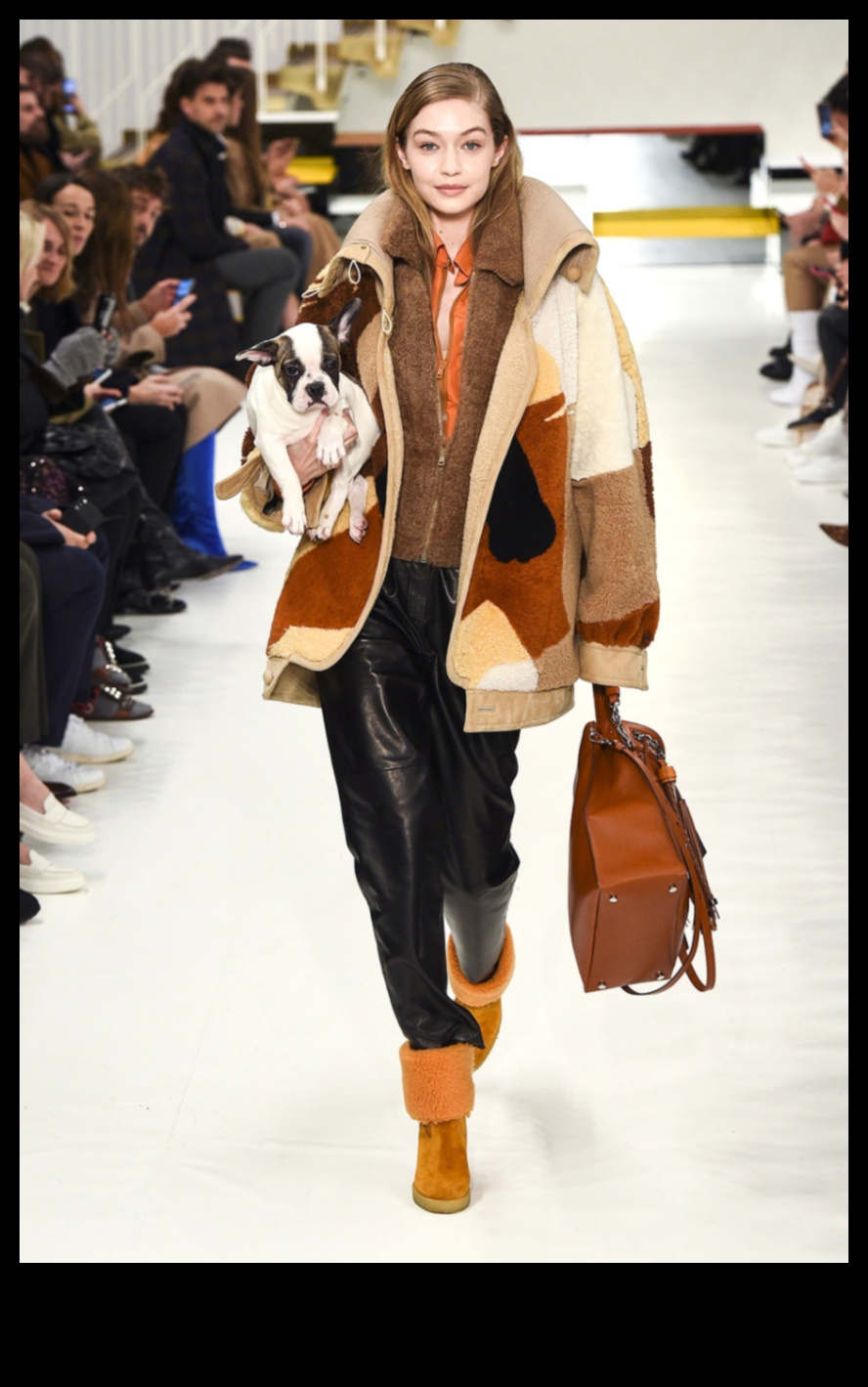 Rāpuļu skrejceļa Rendezvous: piešķiriet šarms jūsu Skailija drauga izskatam