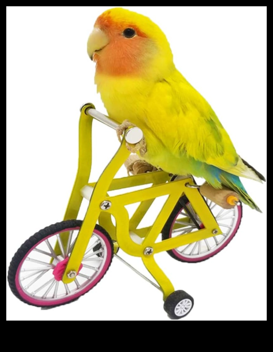 Putnu prāta spēles: izaiciniet mājdzīvnieku putnus ar mīklu rotaļlietām