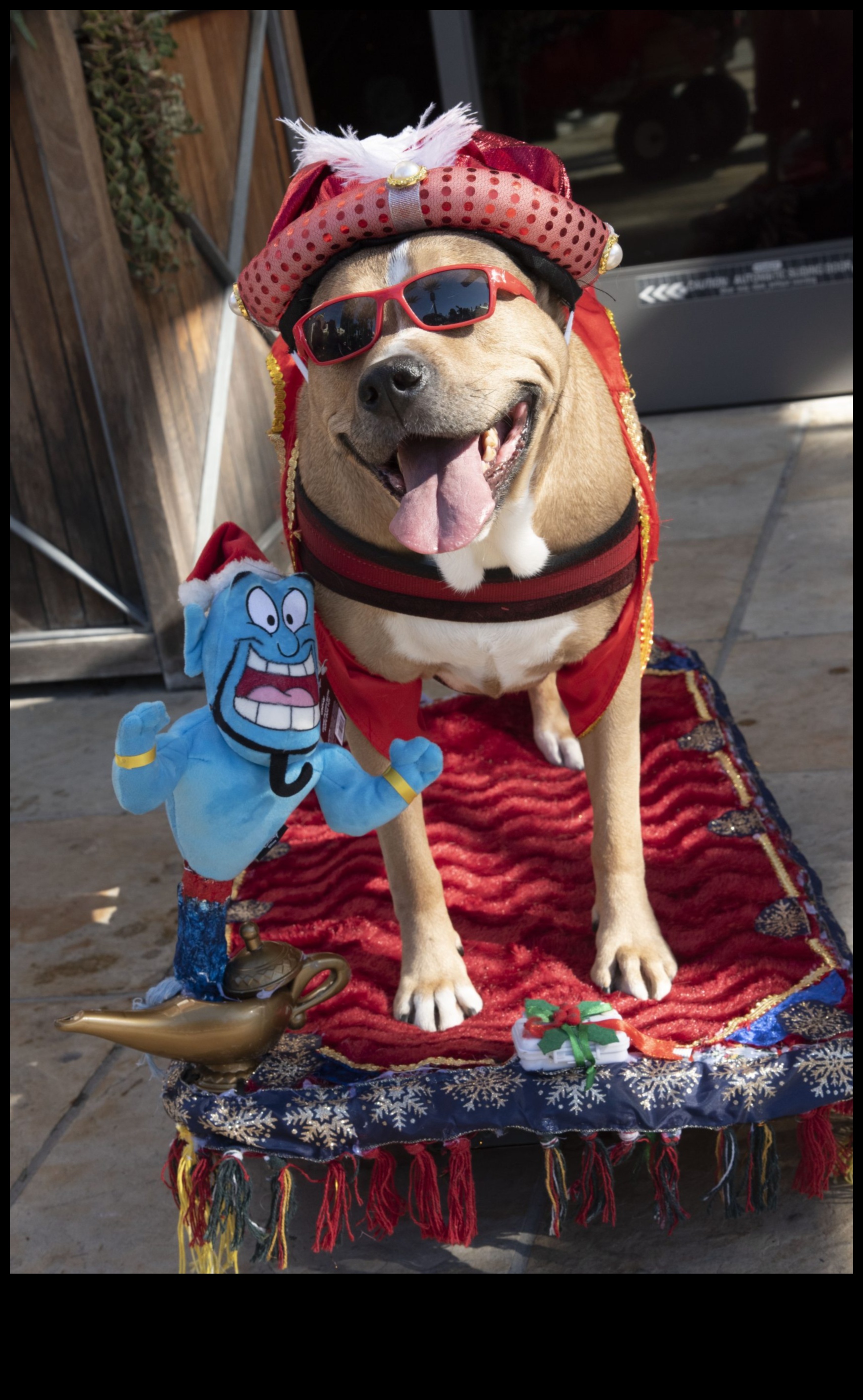Kucēnu rotaļu parāde: maršēšanas grupas jautrība suņiem