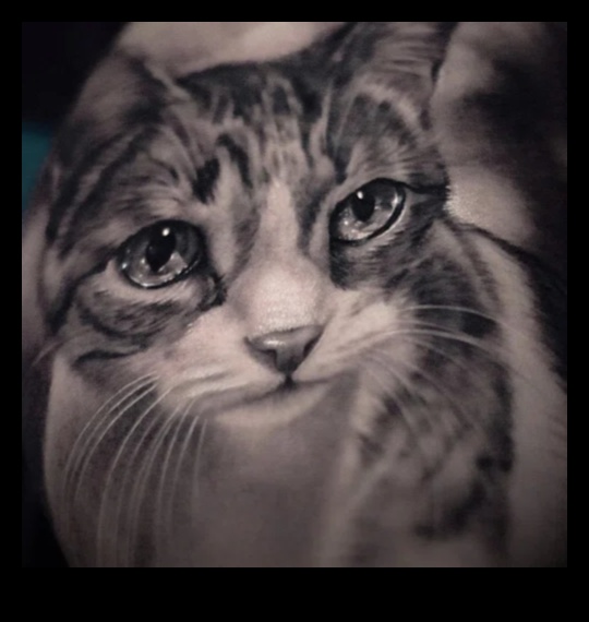 Reālisma meistari: uzlabojiet savu stilu ar tinti