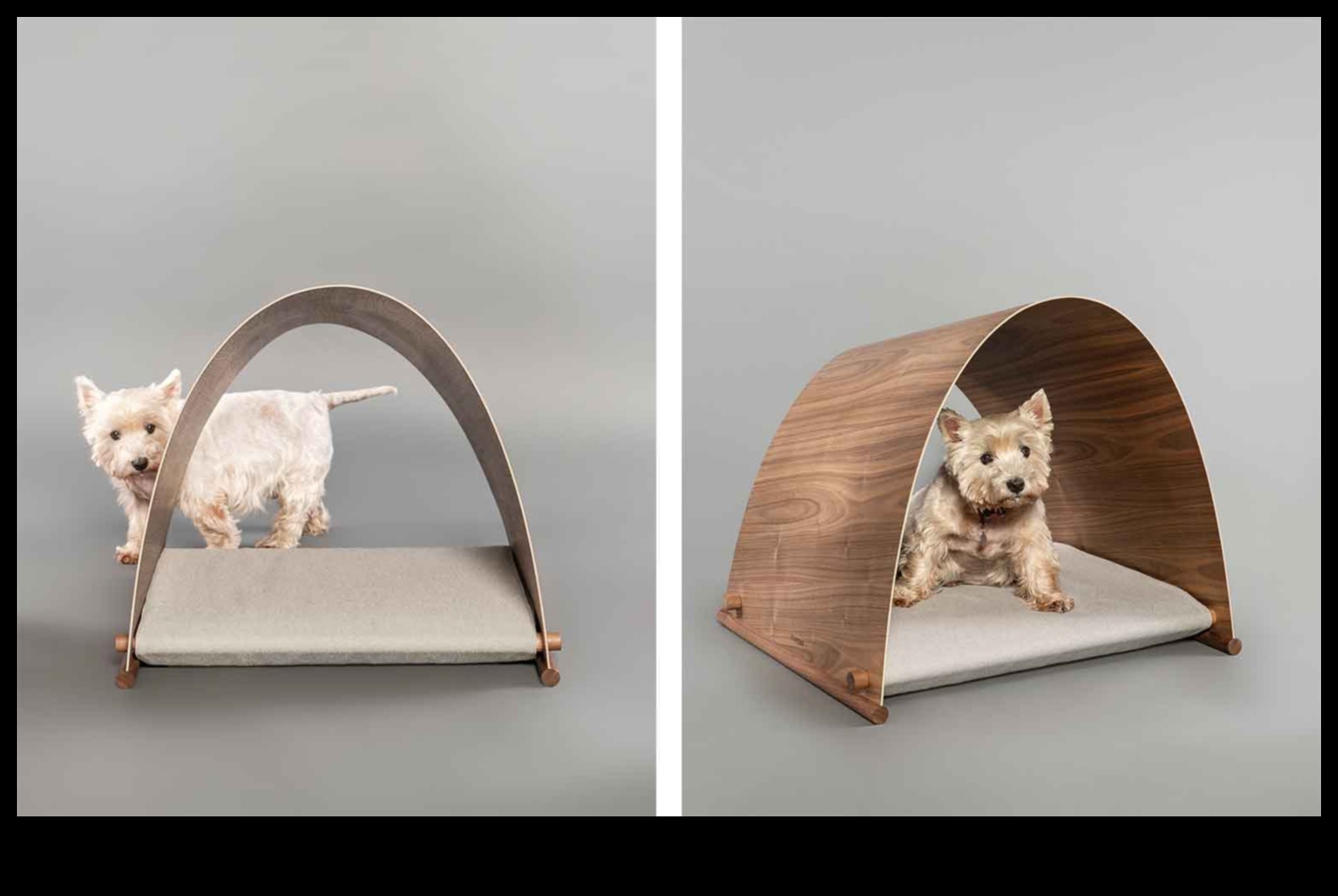 Barkitecture Brilliance: unikāls un stilīgs suņu māju dizains