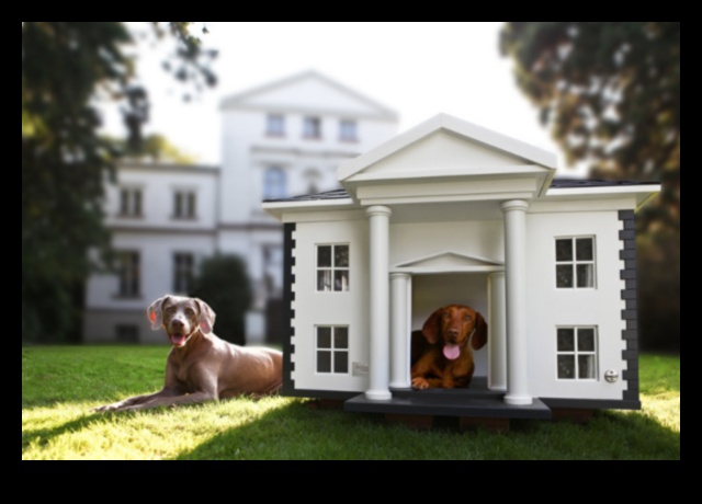 Barkitecture Brilliance: unikāls un stilīgs suņu māju dizains