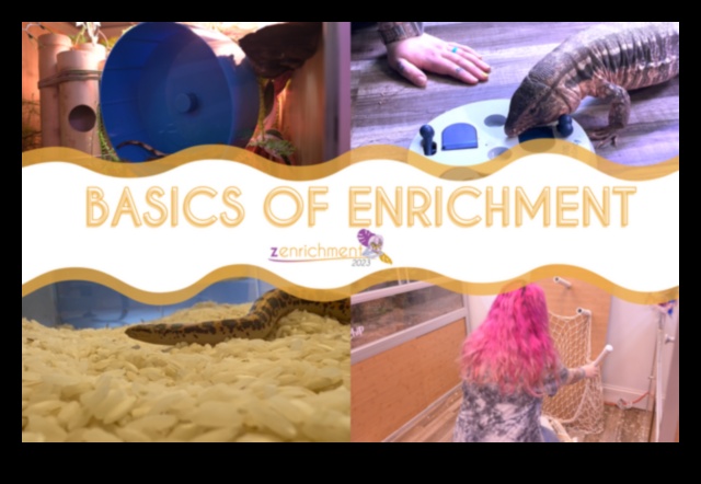 Rāpuļu lasīšanas laiks: stimulējošu vizuālo materiālu nodrošināšana mājdzīvnieku čūskām