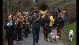Kucēnu rotaļu parāde: maršēšanas grupas jautrība suņiem
