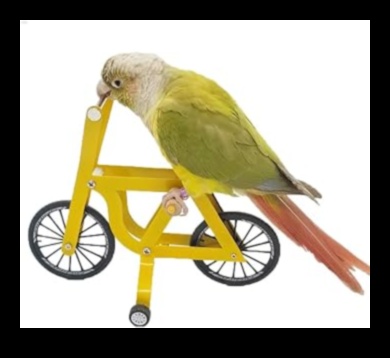 Putnu prāta spēles: izaiciniet mājdzīvnieku putnus ar mīklu rotaļlietām