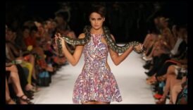 Rāpuļu skrejceļa Rendezvous: piešķiriet šarms jūsu Skailija drauga izskatam