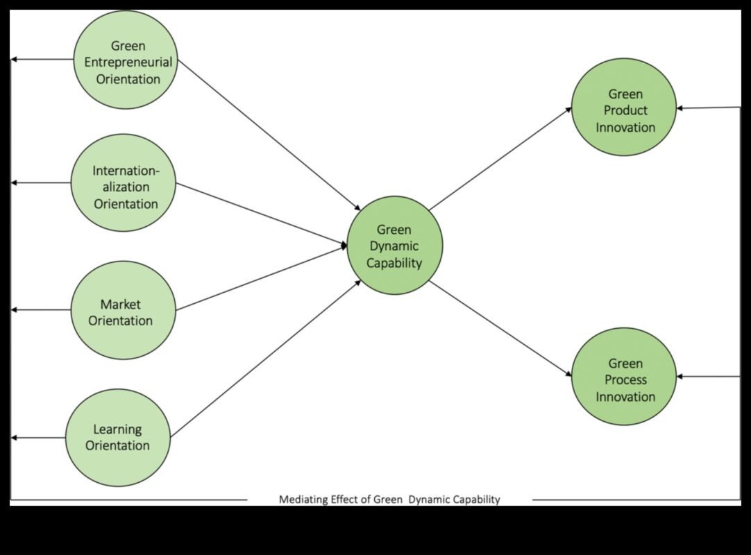 Zaļās inovācijas māksla: radošas ilgtspējīgas izpētes amata apgūšana