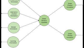 Zaļās inovācijas māksla: radošas ilgtspējīgas izpētes amata apgūšana