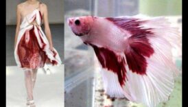 Neticama modes iedvesma: ienesiet zivju rakstus stilā